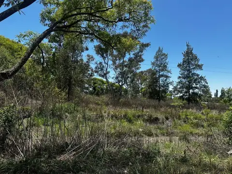 Terreno en Venta de 3920,0 m2