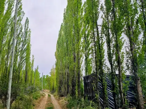 VENTA CHACRA APTA PRODUCCION 6000 M², PLOTTIER 