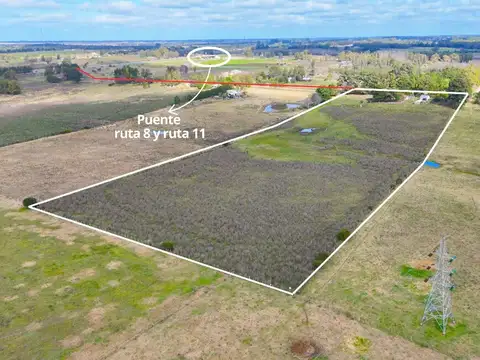 Ruta 8 LA PALMITA 100