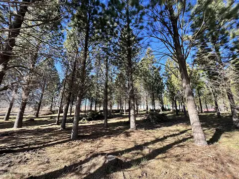 Primera Junta y Antonio Miguens