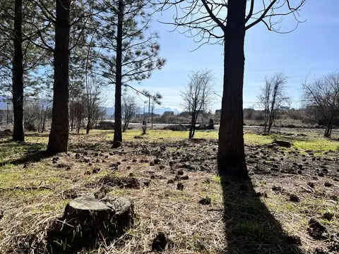 Terreno en Venta de 450,0 m2