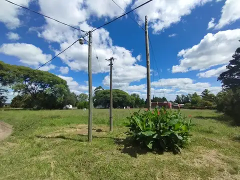 Terreno en Venta 50  mts Fondo