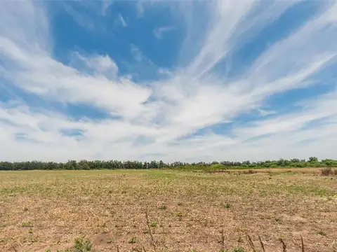 554 Ha ubicación estratégica