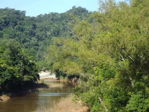 Campo en venta en Los Toldos