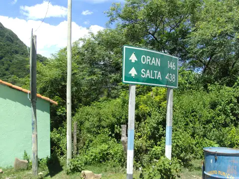 Campo en Venta Forestal
