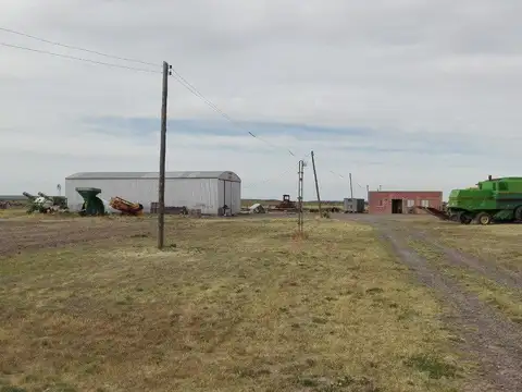 Venta campo a 55 km de Viedma