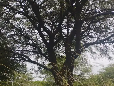 VENDO Gran Lote con Vista y Frente RP E 56  Villa San Isidro