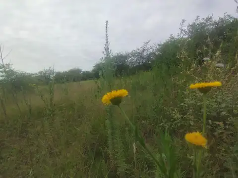 VENDO Gran Lote con Vista y Frente RP E 56  Villa San Isidro