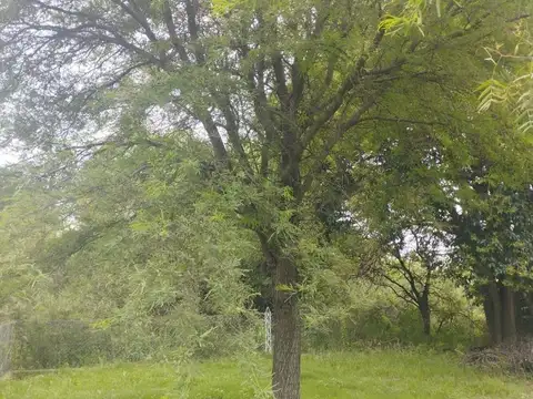 Terreno en Venta de 6858,0 m2