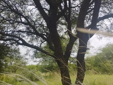 Terreno en Venta en Villa San Isidro, USD 74.000