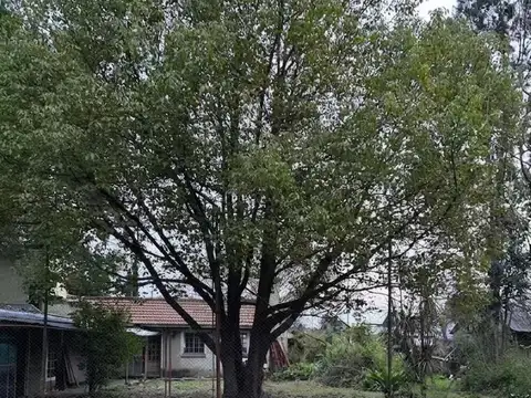 Casa en Venta 30 años