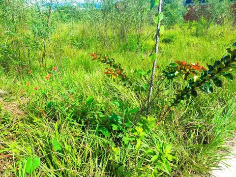 Terreno en Venta de 360,0 m2