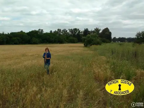 2.8  HAS  RUTA 6 OPENDOOR -AGRICOLA- TAMBIEN 6 HAS