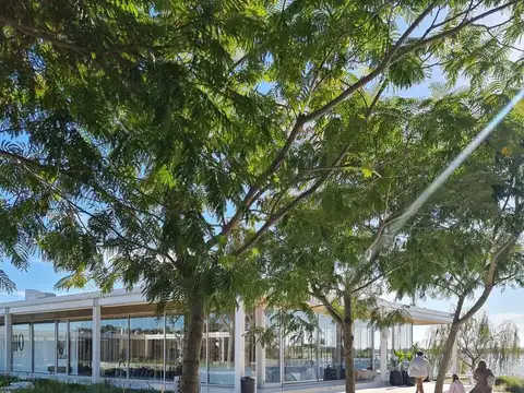 Terreno en Venta de 126504,0 m2