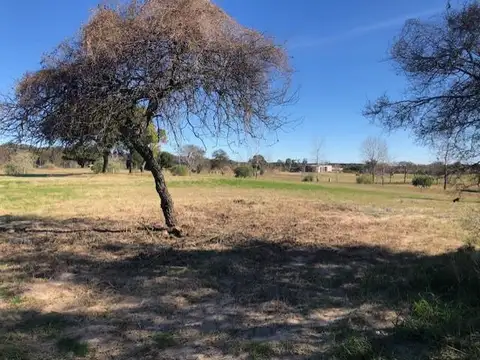 Terreno en Venta de 3500,0 m2