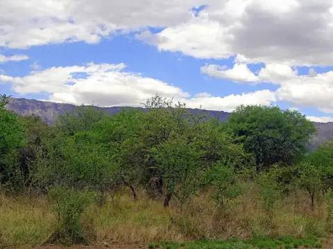 Terreno en Venta de 2260,0 m2