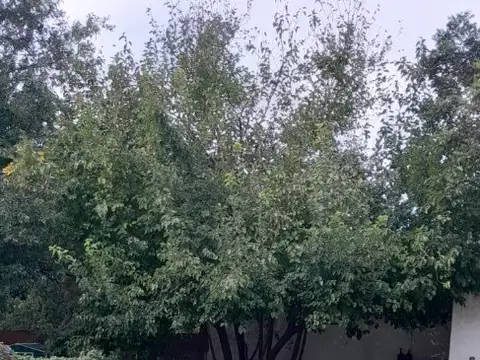 BENAVIDEZ IDEAL INVERSOR 2 DUPLEX Y LOTE PARA SEGUIR CONSTRUYENDO