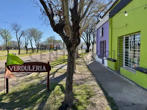 Lote 565 m² con 2 locales y 2 viviendas – Frente a Plaza Principal, Luis Palacios