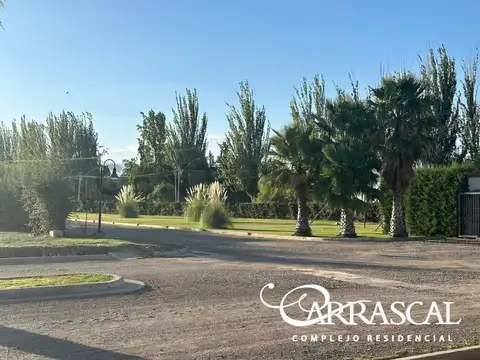 Azcuenaga 1000, Piso 0