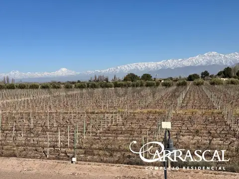 Terreno en Venta en Lunlunta, USD 85.750