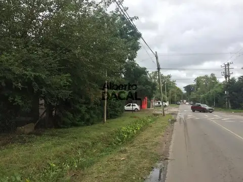 419/134 y 135