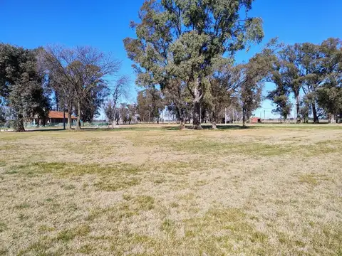 Terreno en Venta en Fincas de San Vicente Jóven