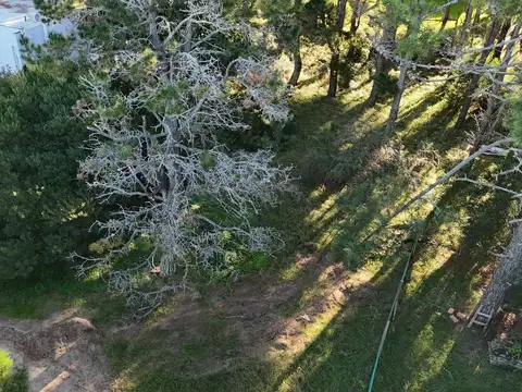 Terreno en Venta 40  mts Fondo