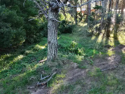 Terreno en Alamos II