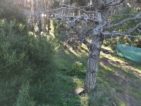 Terreno en Venta de 880,0 m2