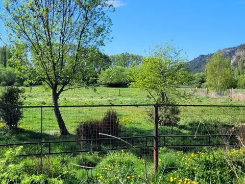 José Hernández 100