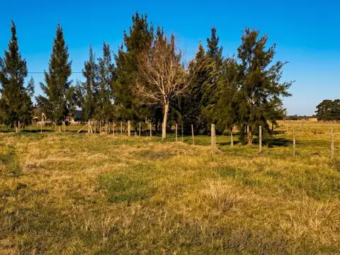 lote 3.600 m2 Con Escritura. Chascomús