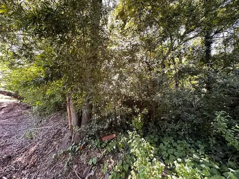 Terreno en Venta de 1000,0 m2