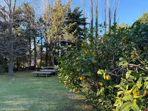 Casa en Venta al Noreste