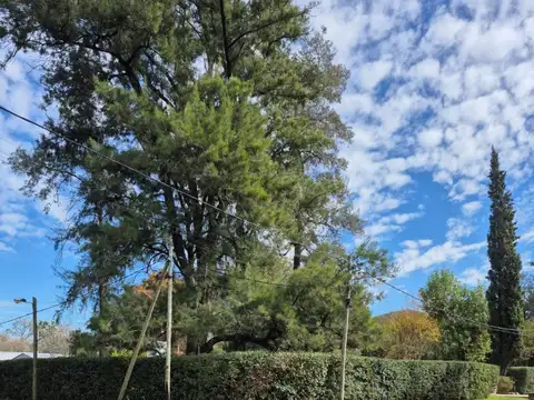 Casa quinta en venta en Parque Orense