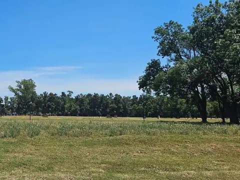 Terreno en Almahue venta