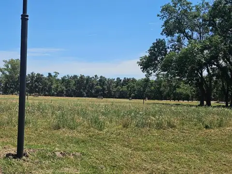 Presidente Derqui  al 2500