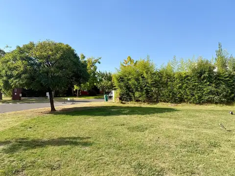 Barrio San Francisco Villanueva, Tigre