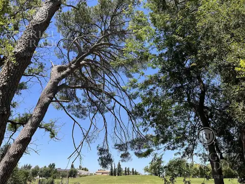 Terreno en Venta de 1081,0 m2