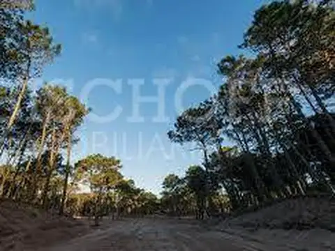 Terreno en Venta en Pinamar, USD 120.000