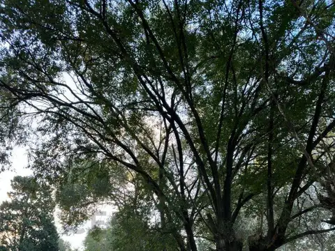 Terreno en Venta de 600,0 m2