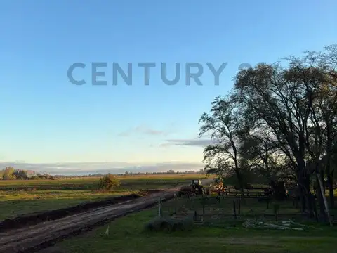 Sierra Grande , Piso 0