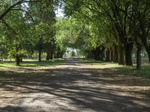 Sierra Grande , Piso 0