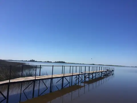 Terreno - Salvador Maria