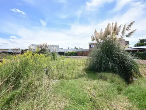 Terreno en venta - 207 mts2 - Manuel B Gonnet