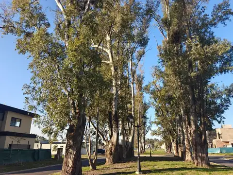 Casa en Venta al Sureste