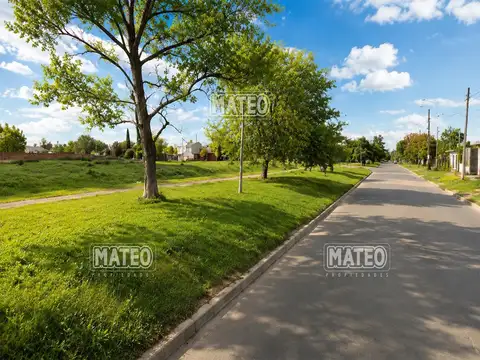 Diagonal Del Cañon & Centenario