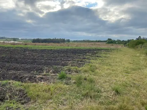 Terreno en Venta de 30000,0 m2