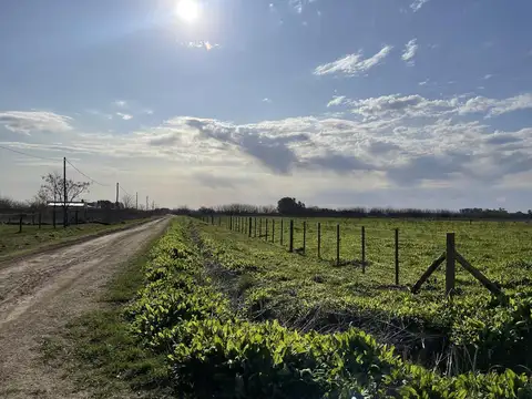 Calle 29 entre 1 y 2, Laguna de Lobos
