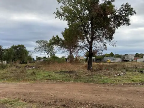 Quijano