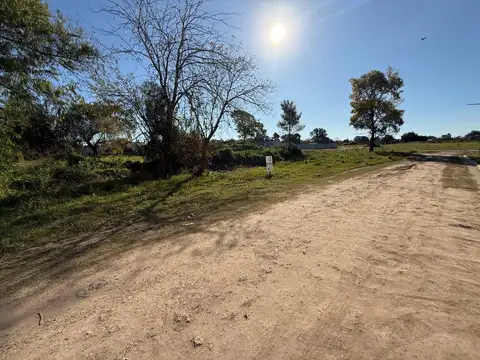 Quijano